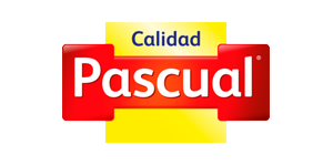 Borrador automático